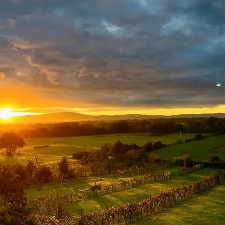 La Gioconda * Arezzo